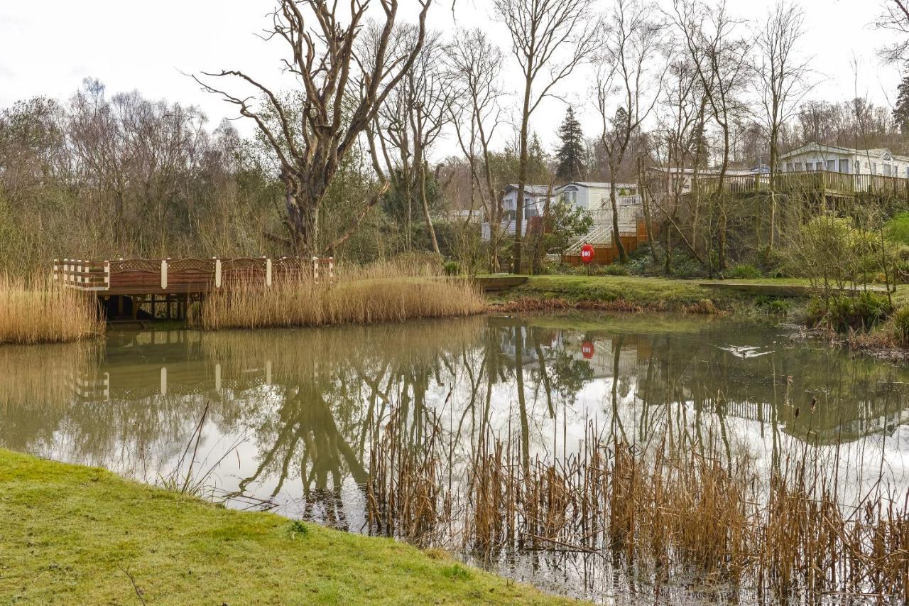 A Woodland Wonder - Redwood Lodge Hastings Exterior photo